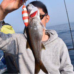 渡船屋たにぐち 釣果