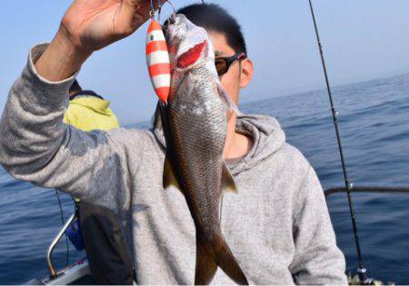 渡船屋たにぐち 釣果