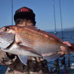 渡船屋たにぐち 釣果
