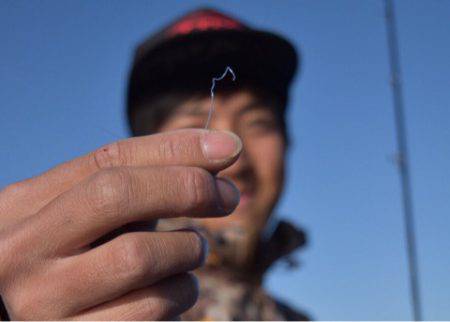 渡船屋たにぐち 釣果