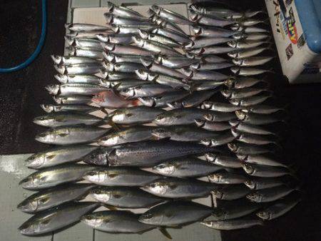 エムズジャーク（M's JERK…