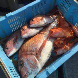 ＴＡＲＯＭＡＲＵ 釣果