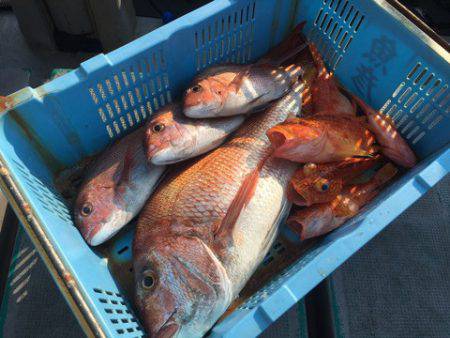 ＴＡＲＯＭＡＲＵ 釣果