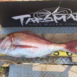 ＴＡＲＯＭＡＲＵ 釣果