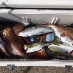 第二八坂丸 釣果