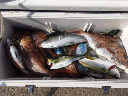 第二八坂丸 釣果