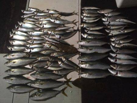 エムズジャーク（M's JERK…