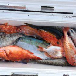 第二龍勢丸 釣果