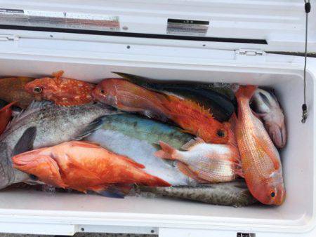 第二龍勢丸 釣果