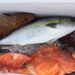 第二龍勢丸 釣果