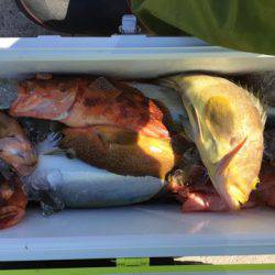 第二龍勢丸 釣果