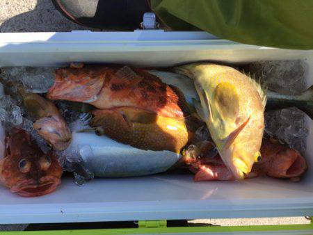 第二龍勢丸 釣果