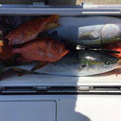 第二龍勢丸 釣果