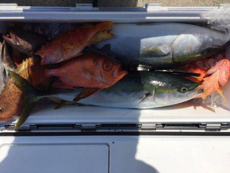 第二龍勢丸 釣果