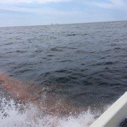 「LaGooN」蒼陽丸 日和号 釣果