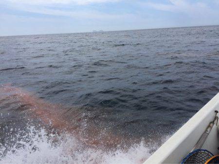 「LaGooN」蒼陽丸 日和号 釣果