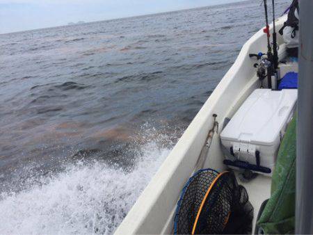 「LaGooN」蒼陽丸 日和号 釣果