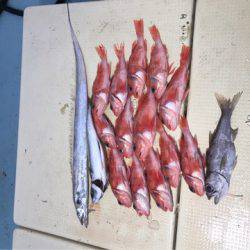 Monster Rush! 釣果