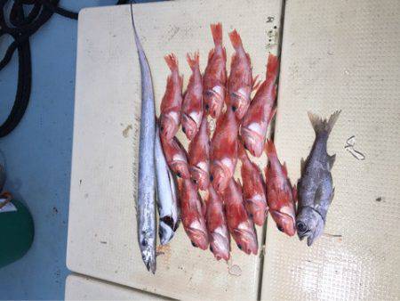 Monster Rush! 釣果