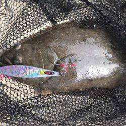 Monster Rush! 釣果