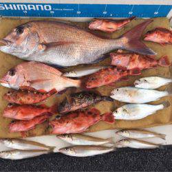 末広丸(熊本) 釣果