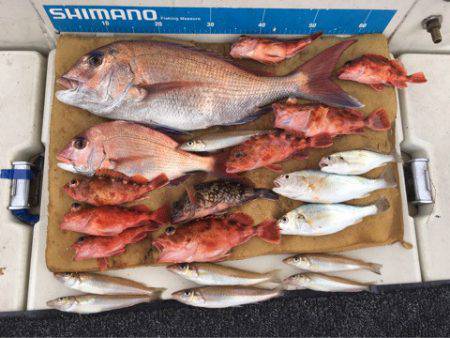 末広丸(熊本) 釣果