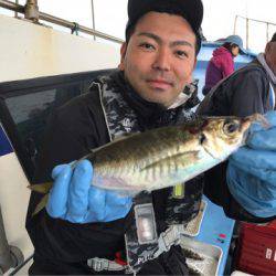 ヤザワ渡船 釣果