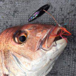 第二 海洋丸 釣果