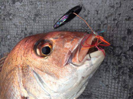 第二 海洋丸 釣果