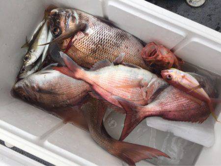 第二 海洋丸 釣果