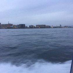 第二 海洋丸 釣果