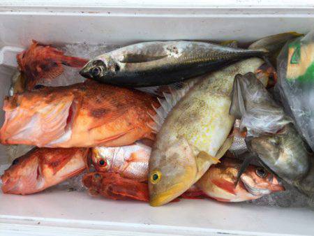 第二龍勢丸 釣果