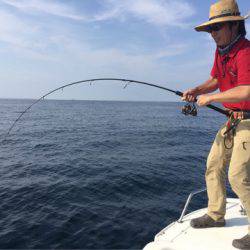 「LaGooN」蒼陽丸 日和号　 釣果