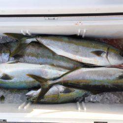 第二龍勢丸 釣果