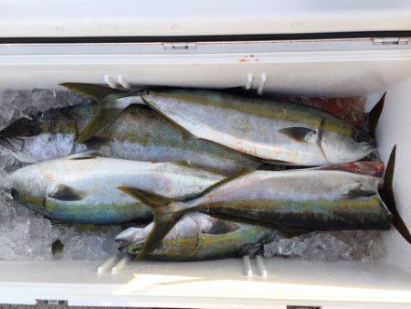 第二龍勢丸 釣果