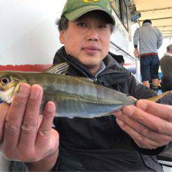 ヤザワ渡船 釣果