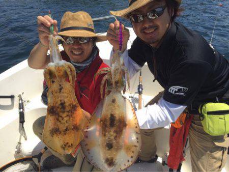 「LaGooN」蒼陽丸 日和号 釣果