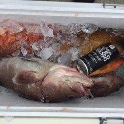 第二龍勢丸 釣果