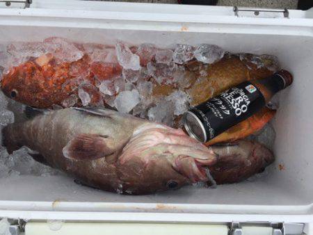 第二龍勢丸 釣果