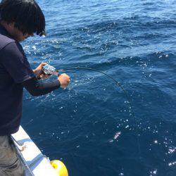 ＴＡＲＯＭＡＲＵ 釣果