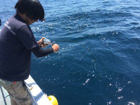 ＴＡＲＯＭＡＲＵ 釣果