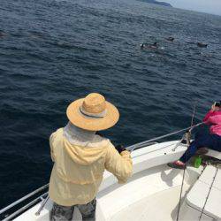 末広丸(熊本) 釣果