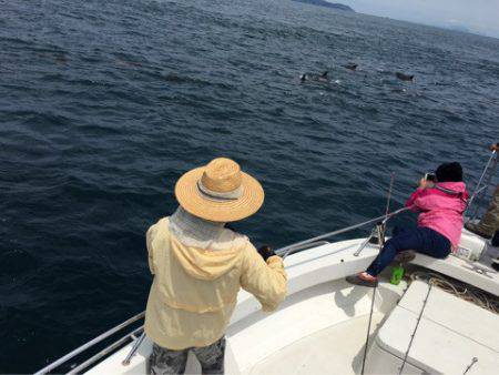 末広丸(熊本) 釣果