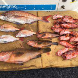 末広丸(熊本) 釣果