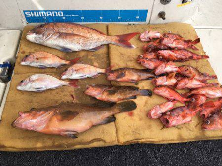 末広丸(熊本) 釣果