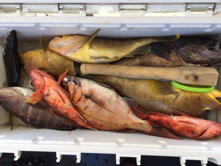 第二龍勢丸 釣果