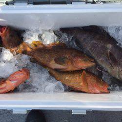 第二龍勢丸 釣果