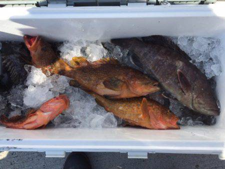 第二龍勢丸 釣果