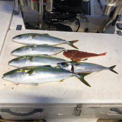 Monster Rush! 釣果