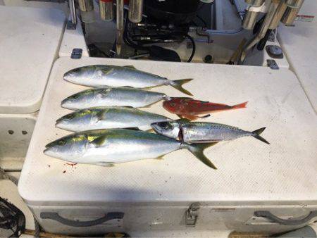 Monster Rush! 釣果